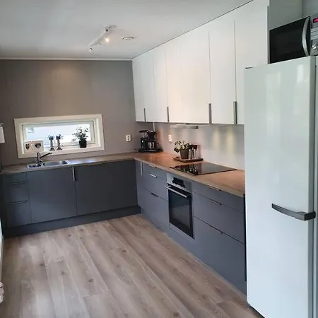 Nydelig Leilighet- Solrik/2 Balkonger 公寓